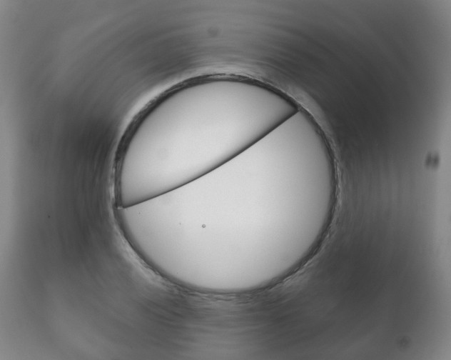 X0000111231028200907021018
