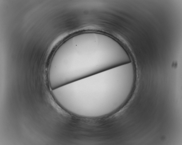 X0000111231029200907021018