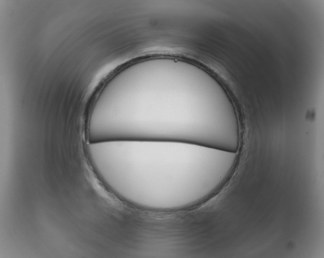 X0000111231030200907021018