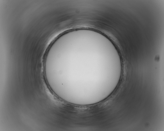 X0000111231031200907021018