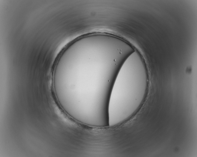 X0000111231032200907021018