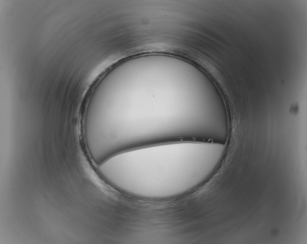 X0000111231034200907021018