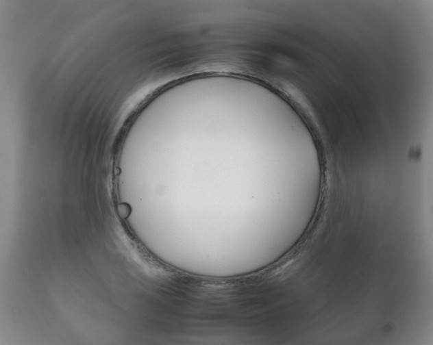 X0000111231035200907021018
