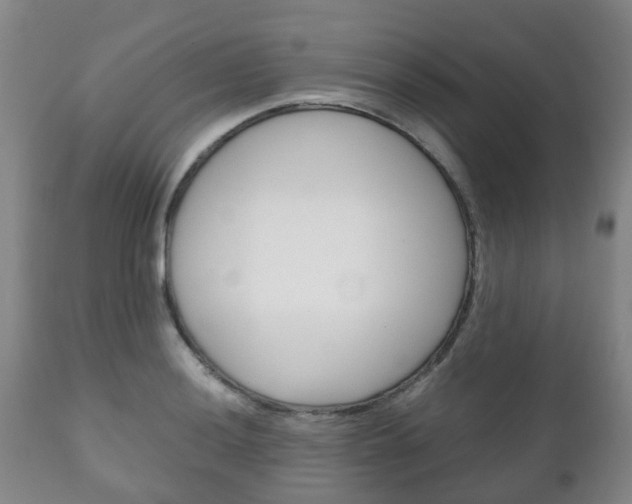 X0000111231036200907021018
