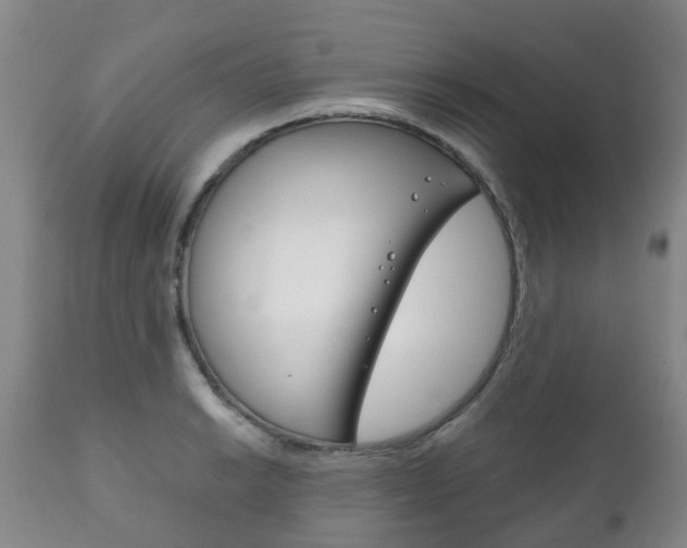 X0000111231038200907021018