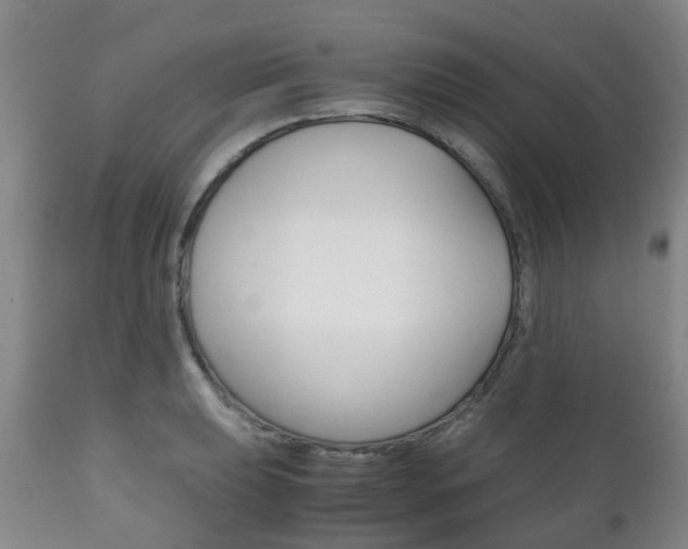 X0000111231039200907021018