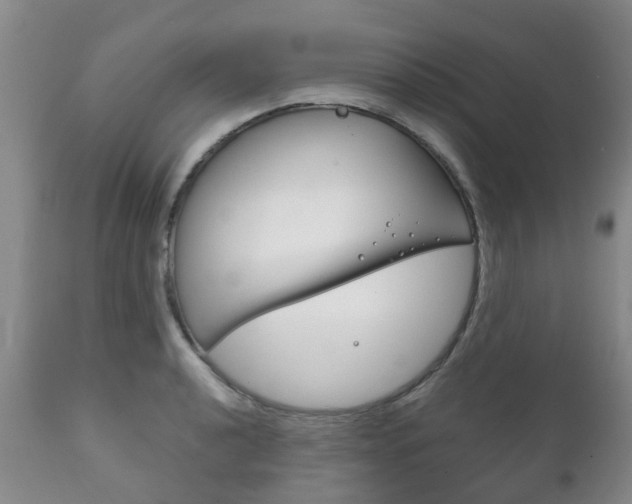 X0000111231040200907021018