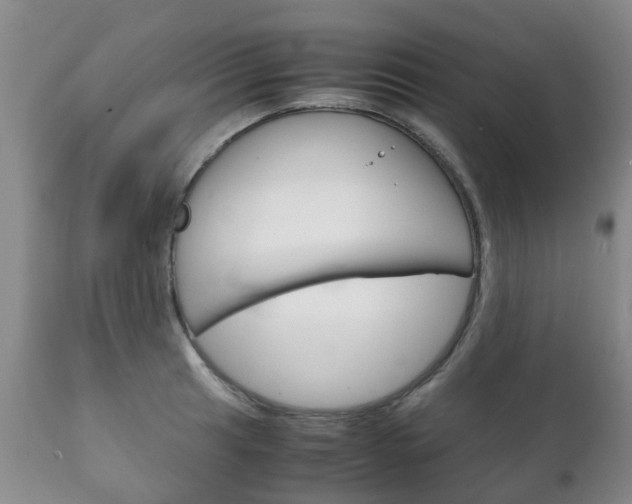 X0000111231041200907021018