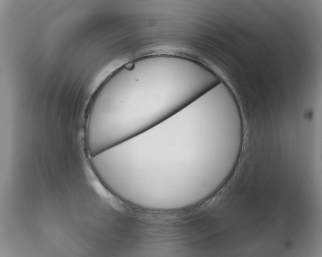 X0000111231042200907021018