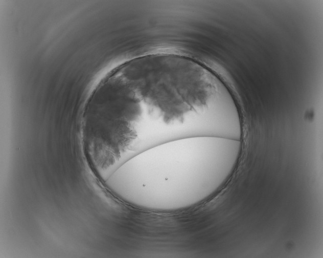 X0000111231043200907021018