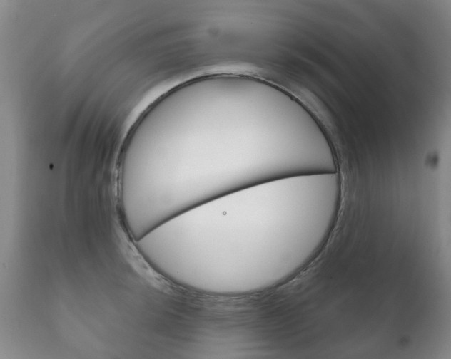 X0000111231044200907021018