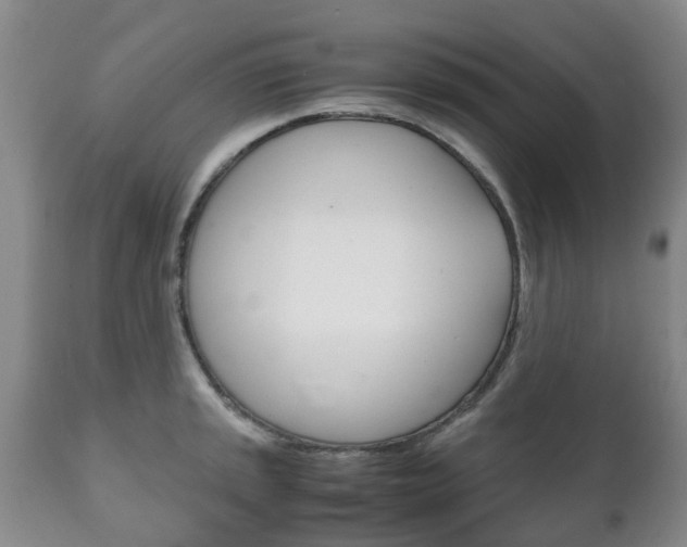 X0000111231045200907021018