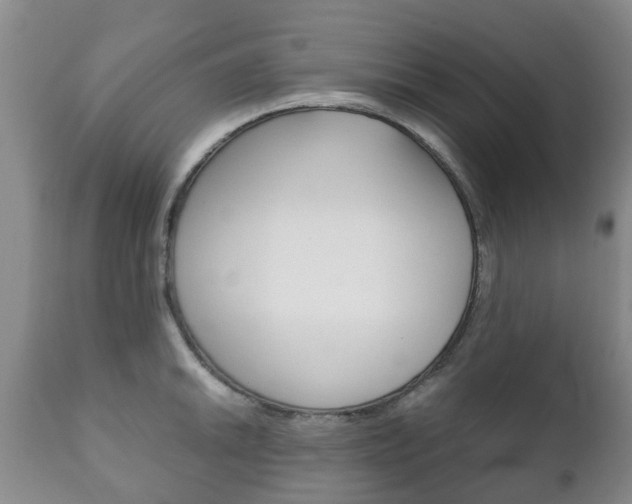 X0000111231046200907021018