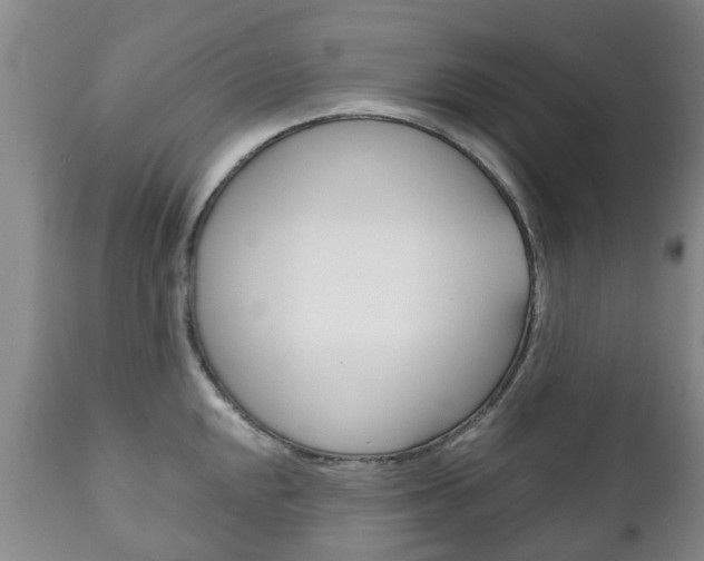 X0000111231048200907021018