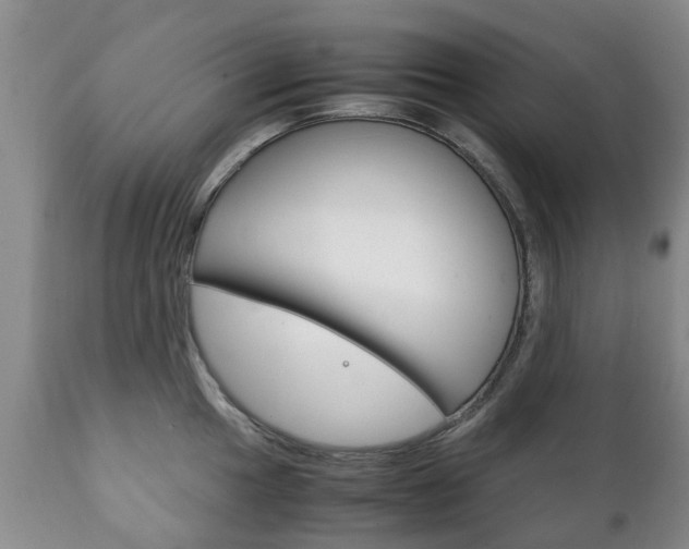 X0000111231049200907021018