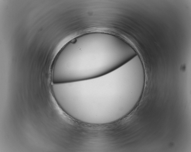 X0000111231050200907021018