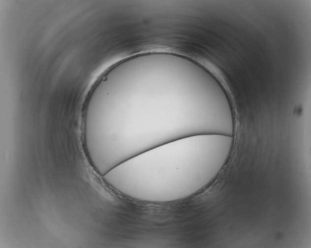 X0000111231051200907021018