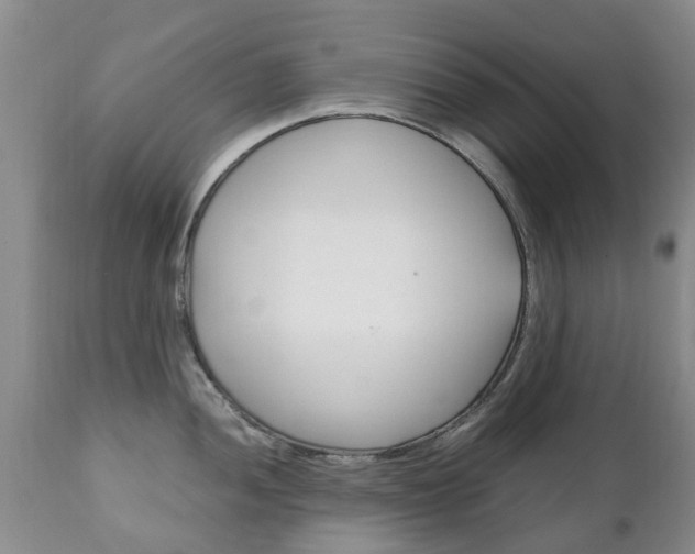 X0000111231052200907021018