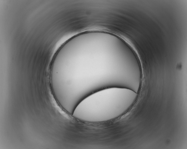 X0000111231053200907021019
