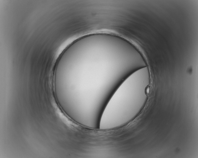 X0000111231054200907021019
