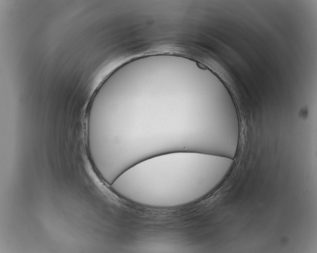X0000111231055200907021019