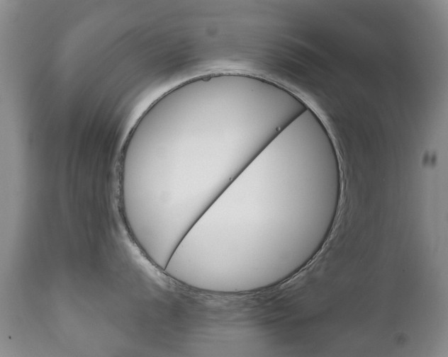 X0000111231056200907021019