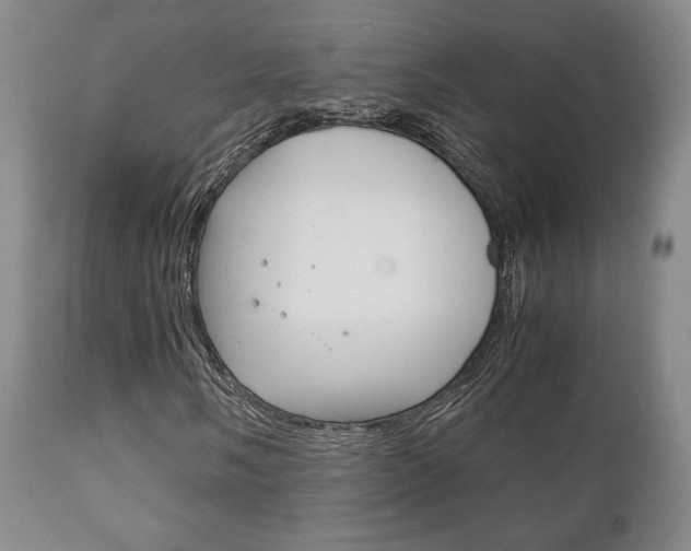X0000111231058200907021018