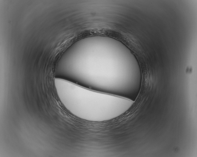 X0000111231060200907021018