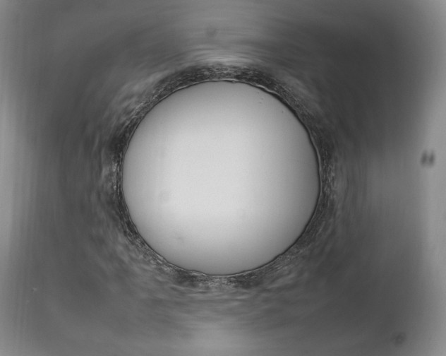X0000111231061200907021018