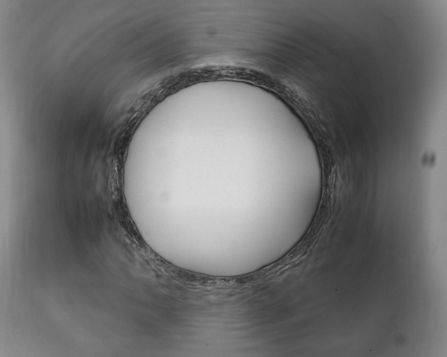 X0000111231062200907021018