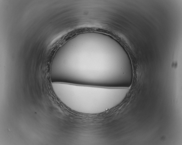 X0000111231064200907021018