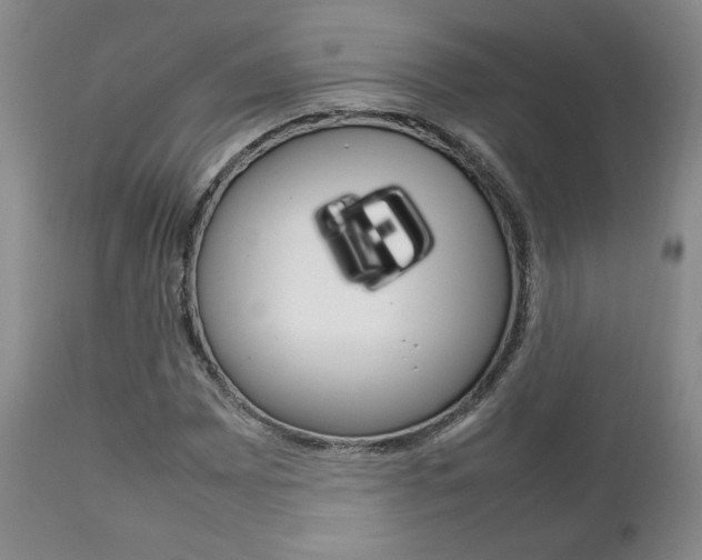 X0000111231065200907021018