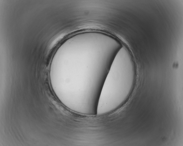 X0000111231067200907021018