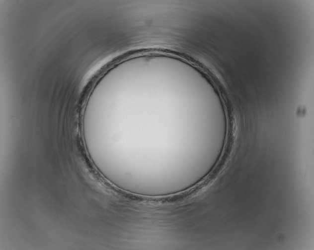 X0000111231069200907021018