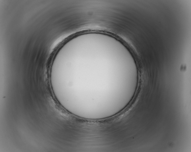 X0000111231070200907021018