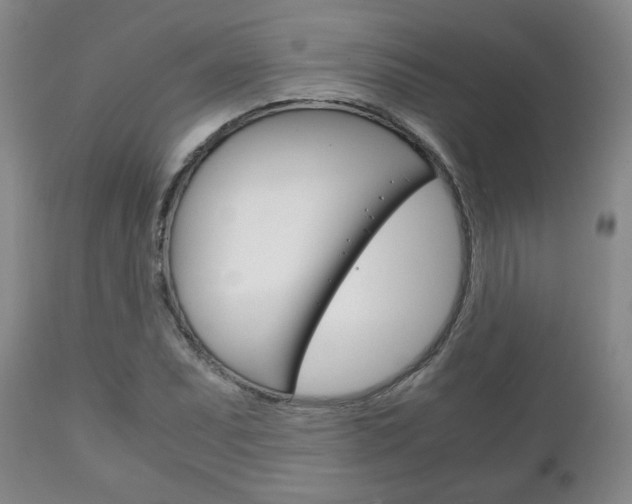 X0000111231071200907021018