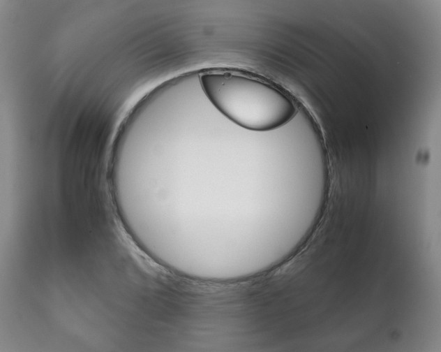 X0000111231072200907021018