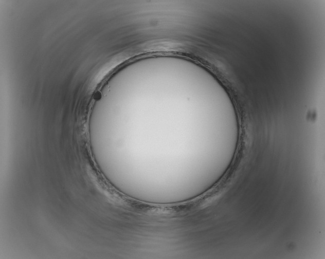 X0000111231073200907021018