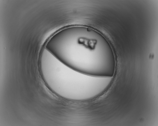 X0000111231077200907021018