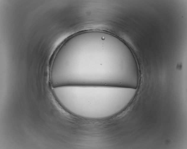 X0000111231079200907021018