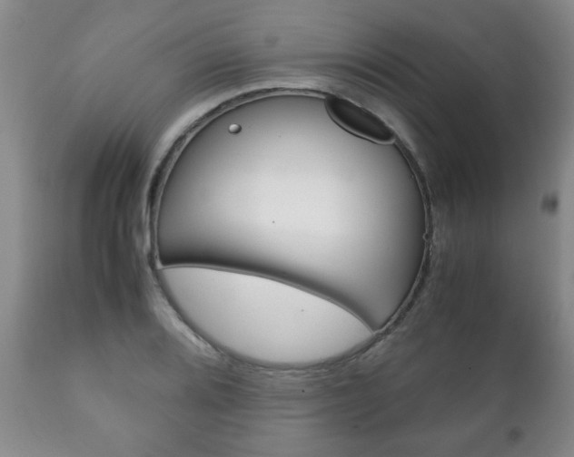 X0000111231080200907021018