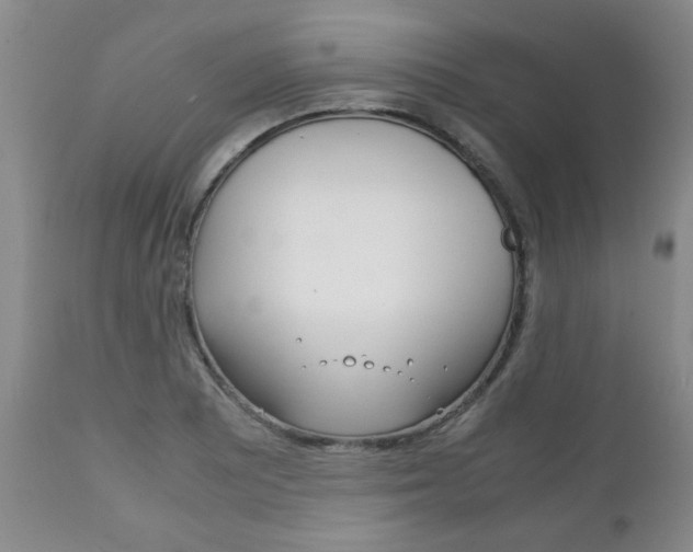 X0000111231081200907021018