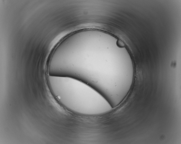 X0000111231082200907021018