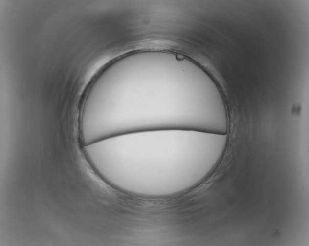 X0000111231083200907021018