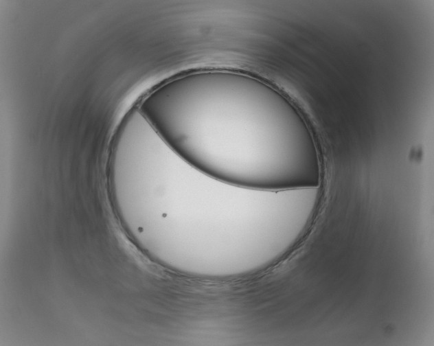 X0000111231085200907021017