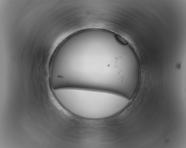 X0000111231088200907021017