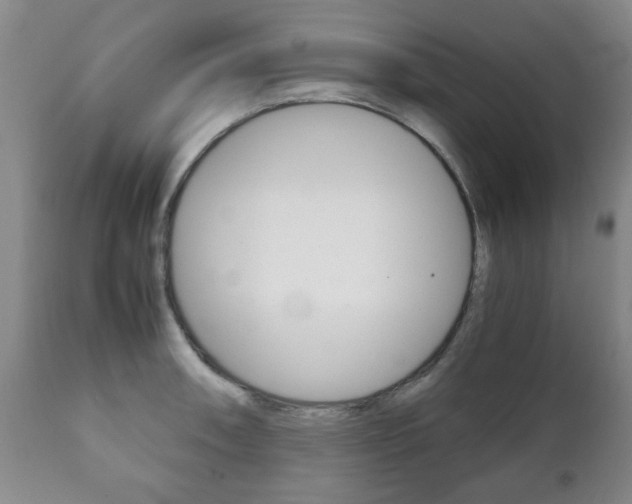 X0000111231090200907021017