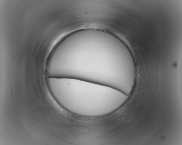 X0000111231091200907021017