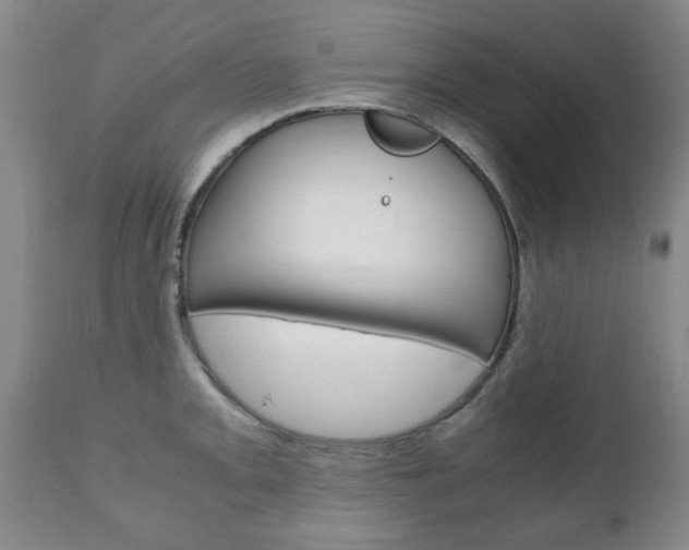 X0000111231093200907021017