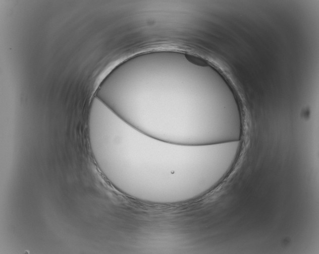 X0000111231097200907021017
